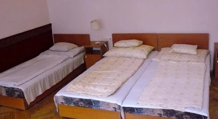 Fehér Páva Hotel - photo 6