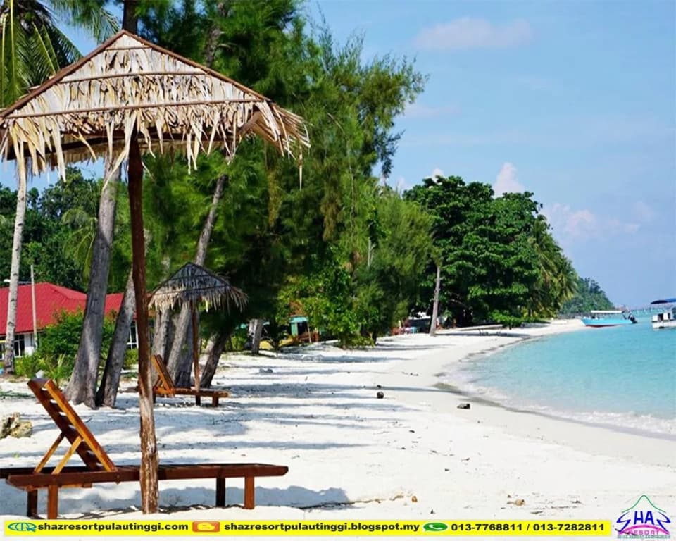 SHAZ Resort Pulau Tinggi - photo 7