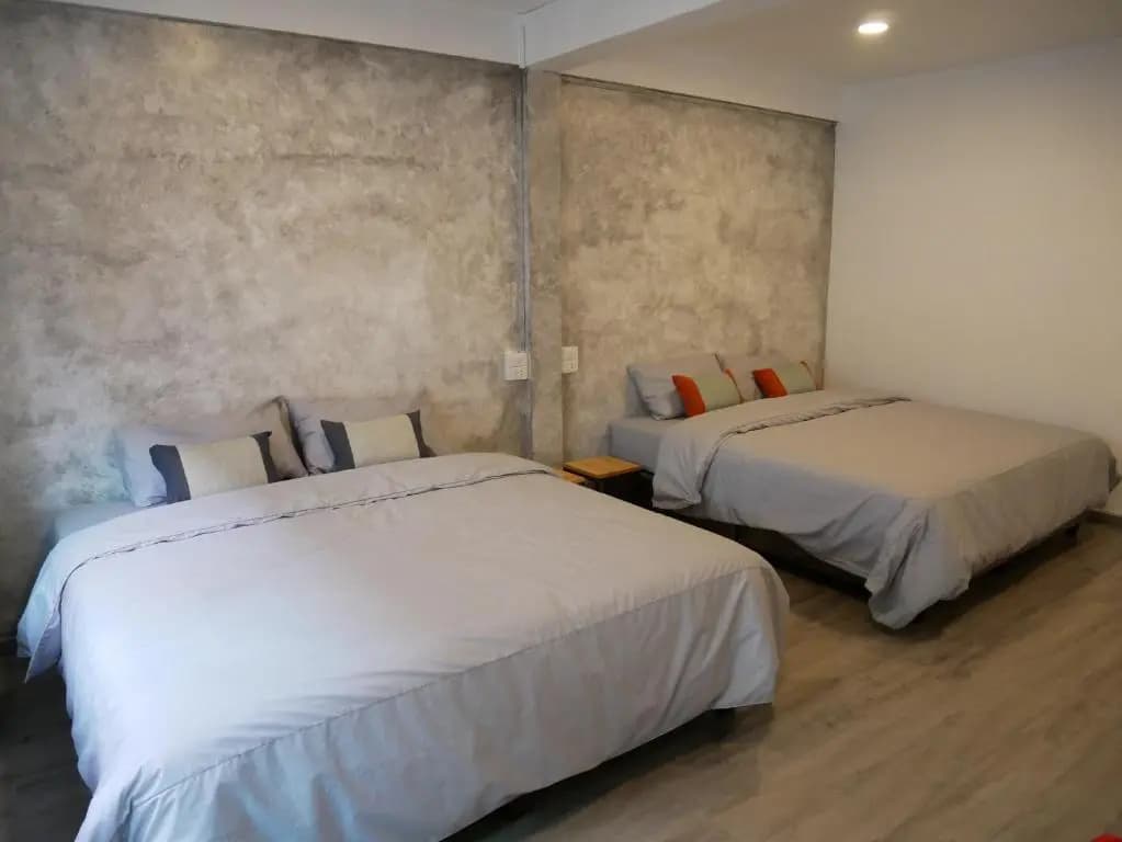 Np House - photo 4