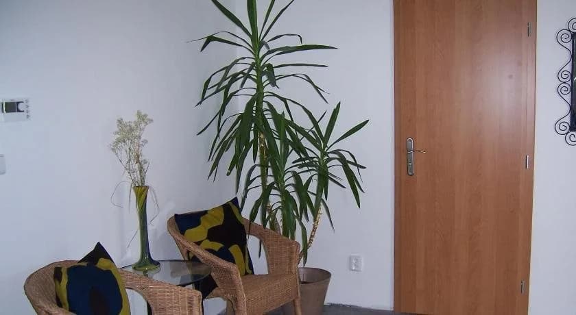 Penzion Schneider - photo 11