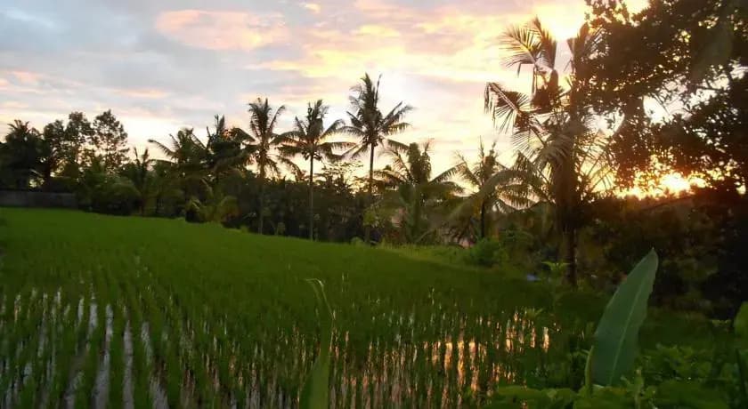 Villa Jasmine B&B - photo 3