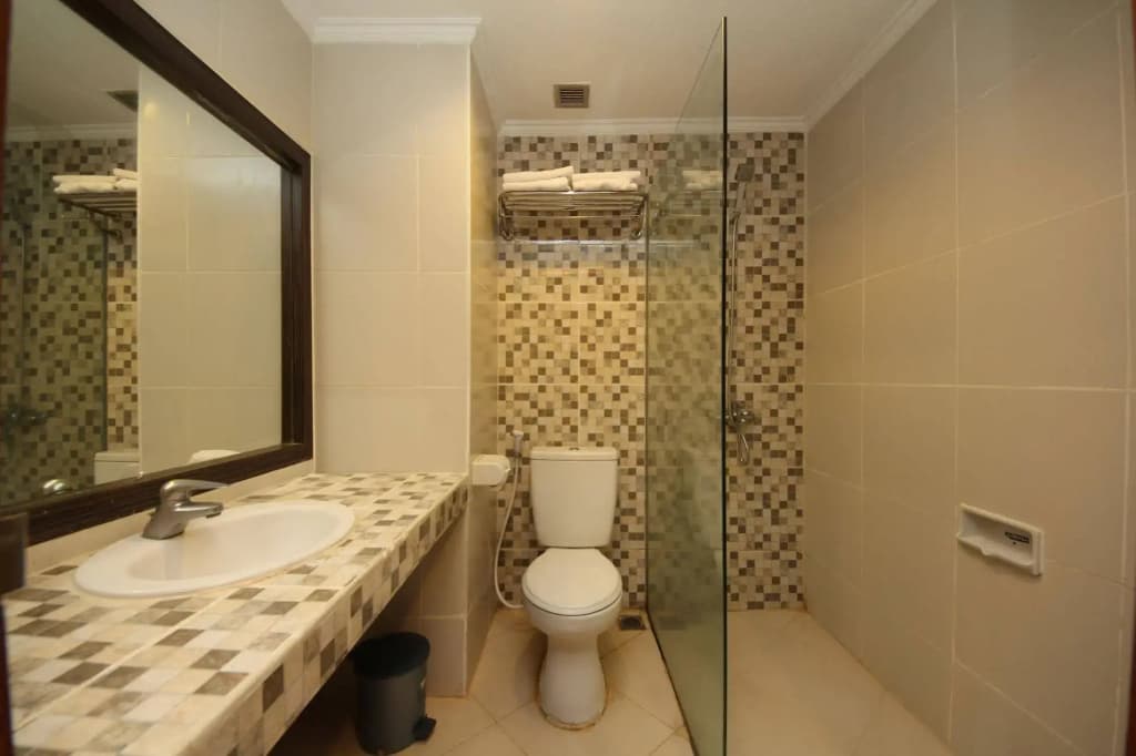 Hotel Maharani - photo 9
