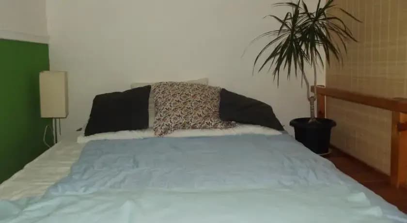 Cozy Flat - photo 4
