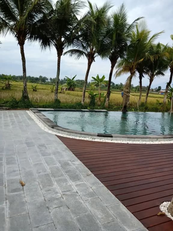 mas village resort - photo 9