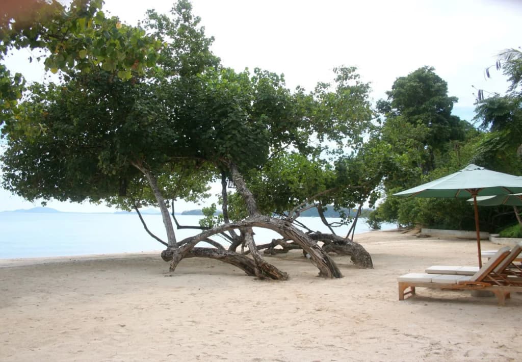 Chandara Resort & Spa Phuket - photo 17
