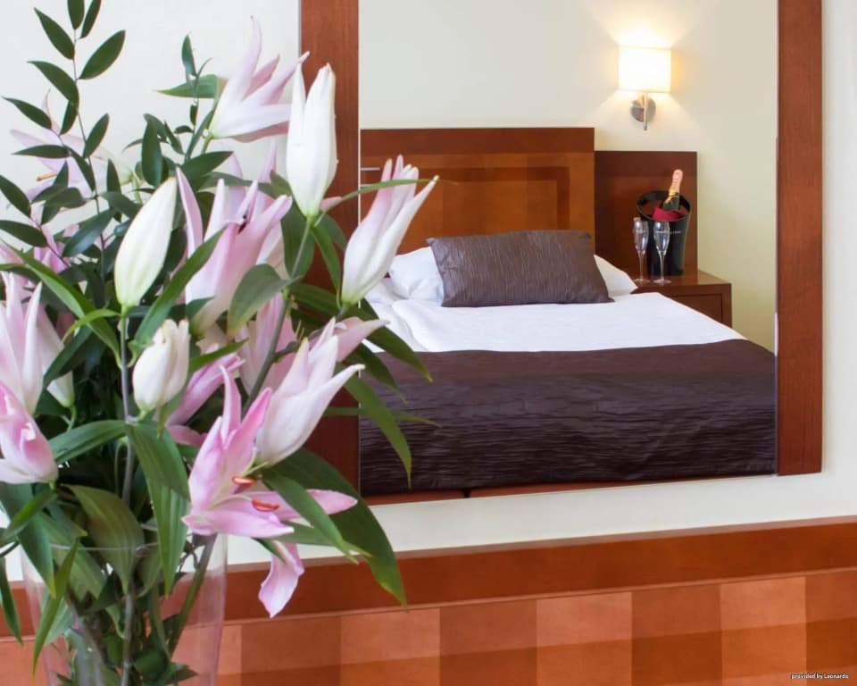 Luxury Family Hotel Bila Labut - photo 6