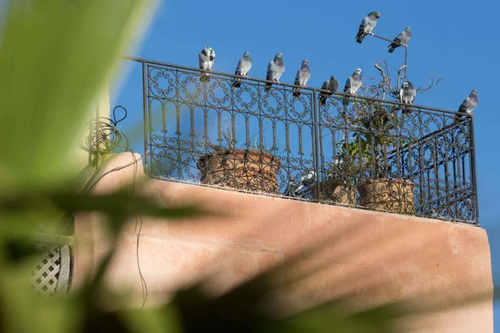 Riad El Maktoub - photo 7
