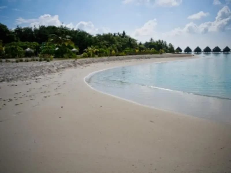 Velidhu Island Resort - photo 17