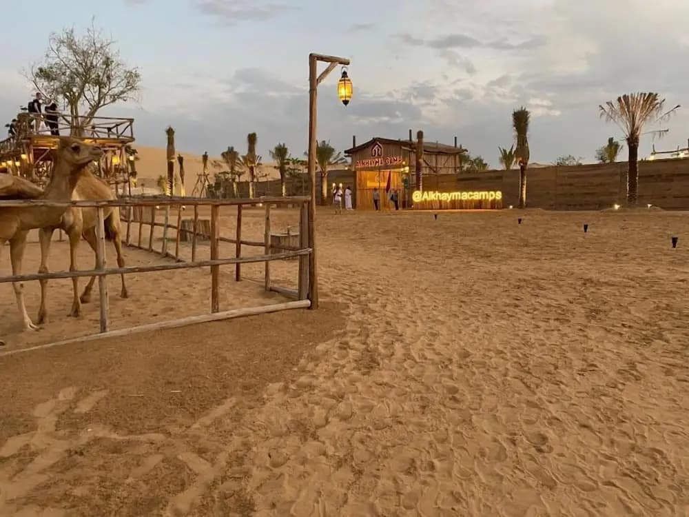 Al Khayma Camp "Elite Glamping & Dining in Experience" - photo 17