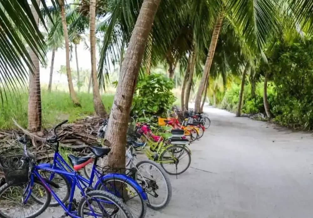 SORENZO Maldives - photo 29