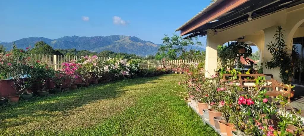 Mountain View Guest House KB - photo 8