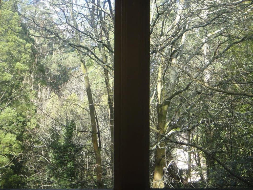 Credo Cottages - photo 11