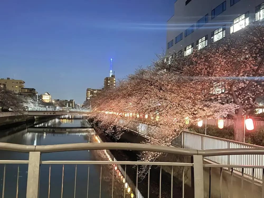 Nakakasai Kodate - photo 31