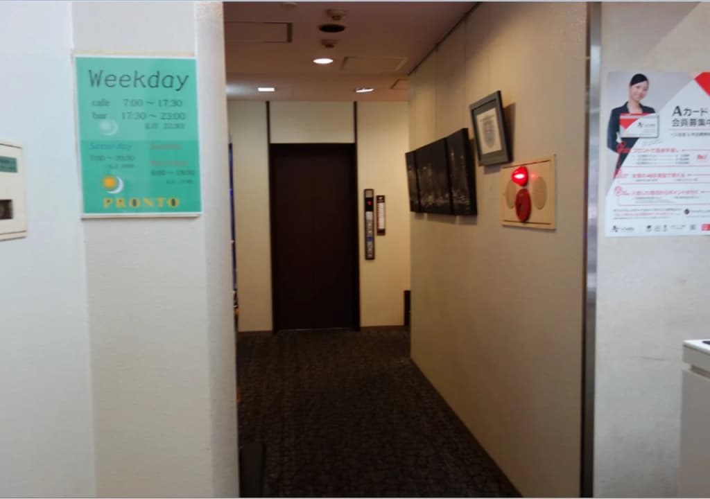 Ueno Terminal Hotel - photo 15