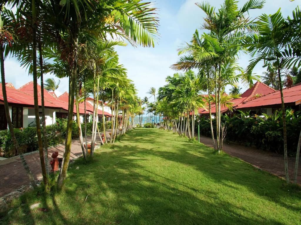 Chaweng Resort (SHA Extra Plus) - photo 21