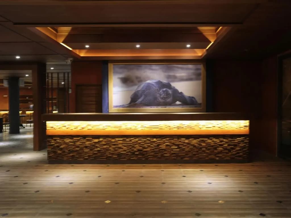 Coriacea Boutique Resort - photo 29