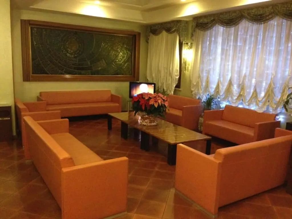 Hotel Vienna - photo 14