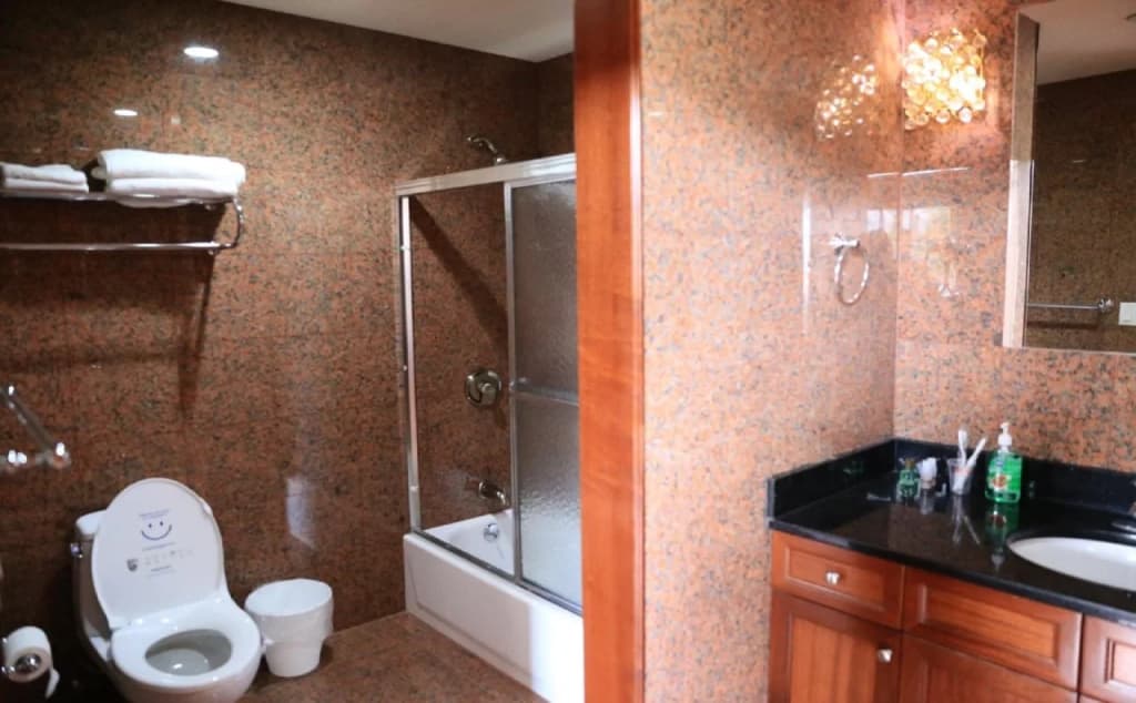 Phoenix Hotel - photo 9