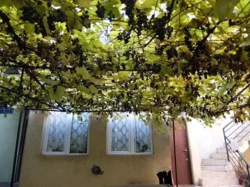 Valdi Hostel Tbilisi - photo 15