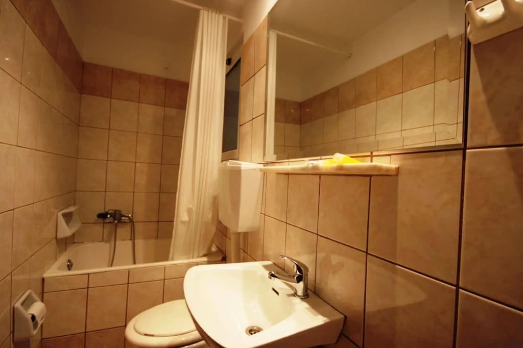 Vienna Hotel - photo 9