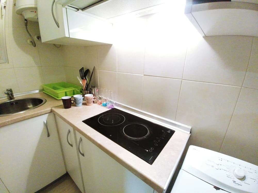 Luxury Flat Legazpi - photo 14