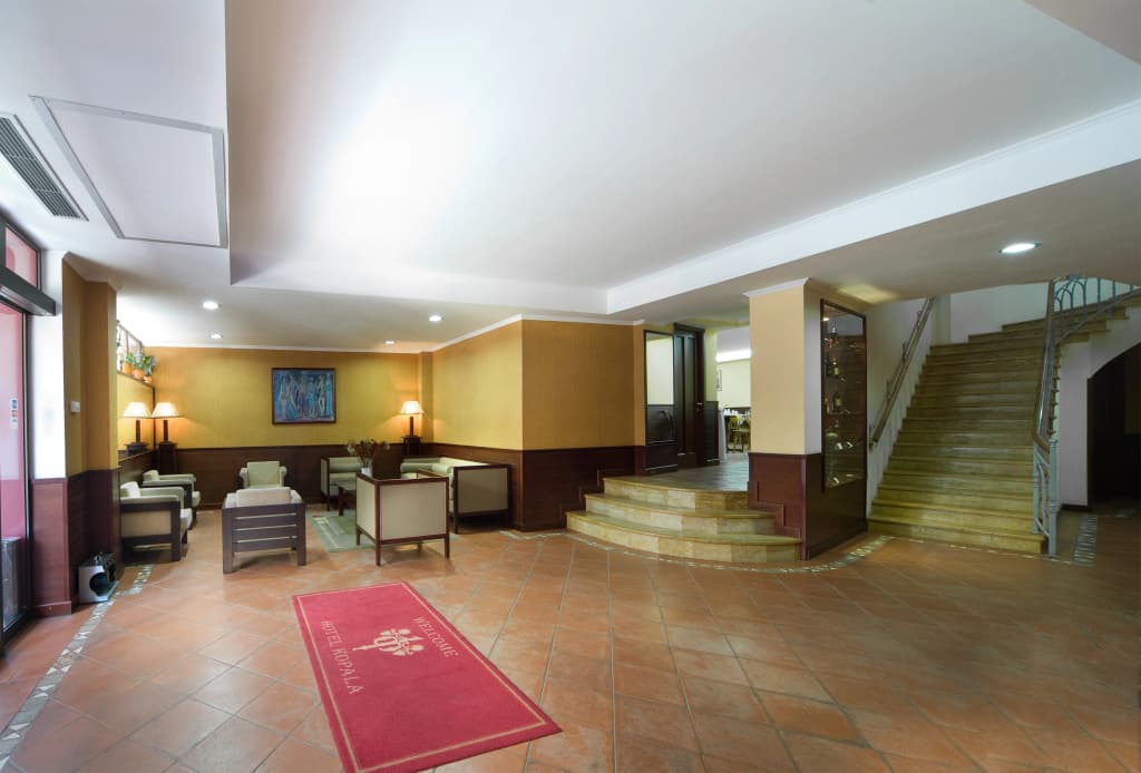 New Kopala Hotel - photo 9