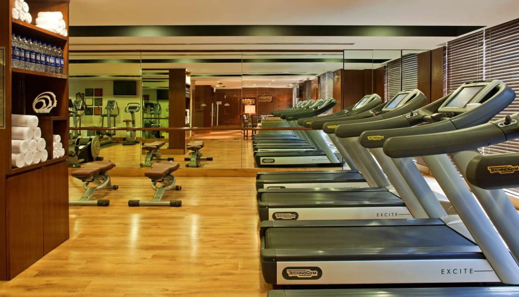 Radisson Blu Plaza Delhi Airport - photo 20