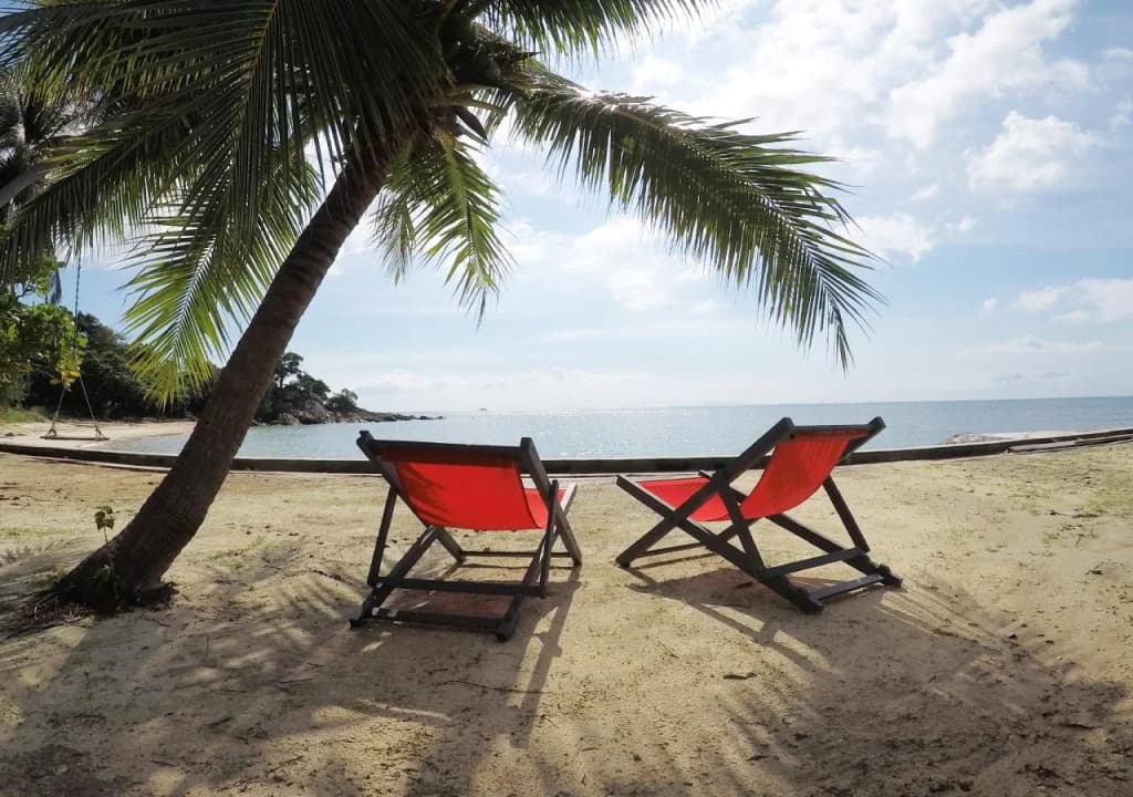 Dolphin Bay Beach Resort - photo 19