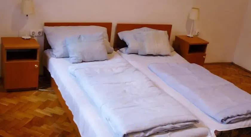 Fehér Páva Hotel - photo 4