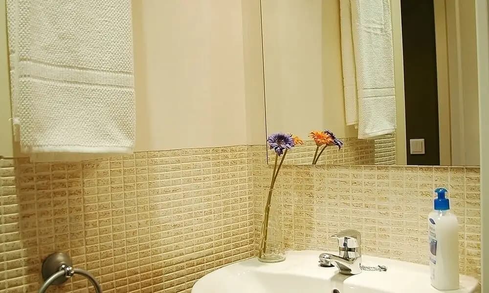 Apartamentos Alcalá - photo 9