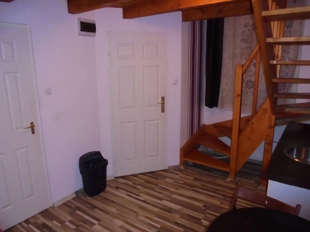 Liechtenstein Apartments - photo 11