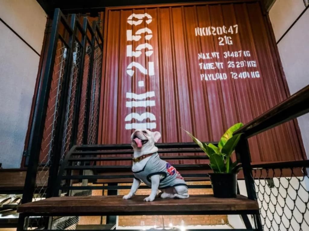 Zeds Hostel Bangkok - photo 17