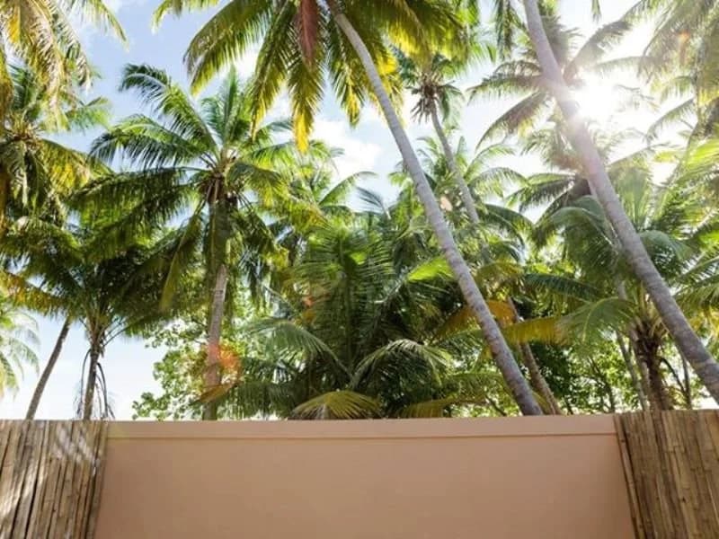 Riveli Retreat at Mathiveri Maldives - photo 15