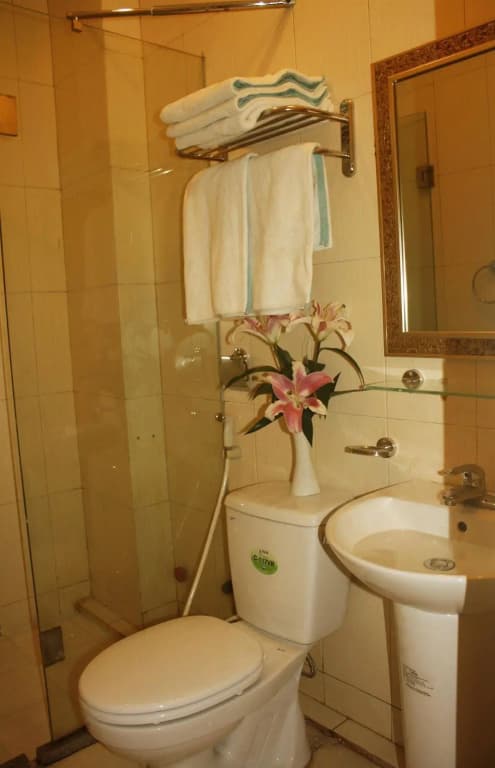 Real Hanoi Hotel - photo 7
