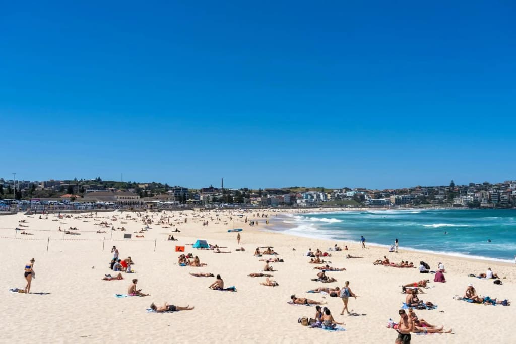 Luxury Bondi Beachside Apartment - Pacific - photo 12