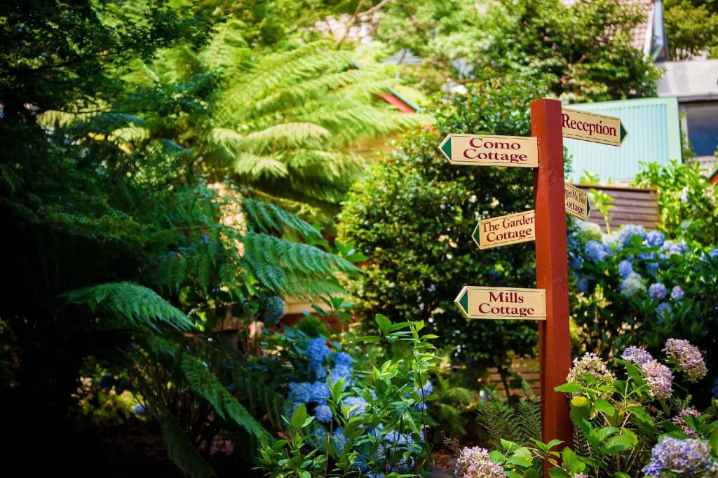 Como Cottages Accommodation - photo 16