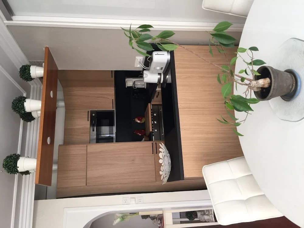 Location Sweet Home Paris 12 Terrasse Verdure 55m 2 pièces - photo 4