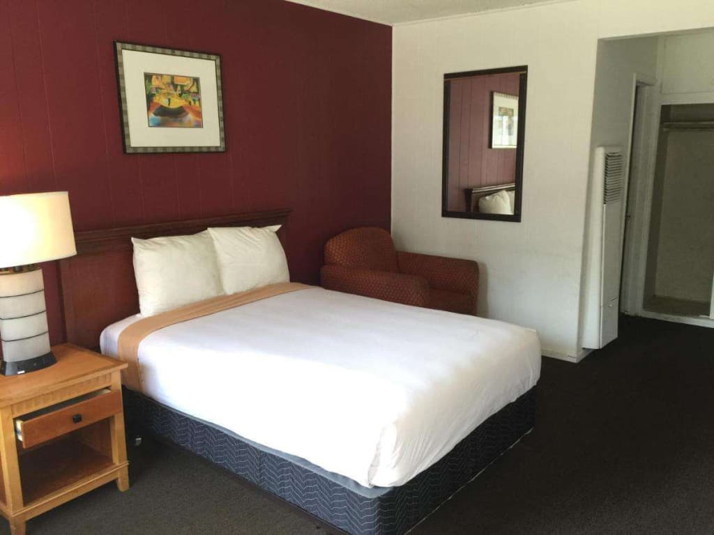 Holiday Lodge - photo 6