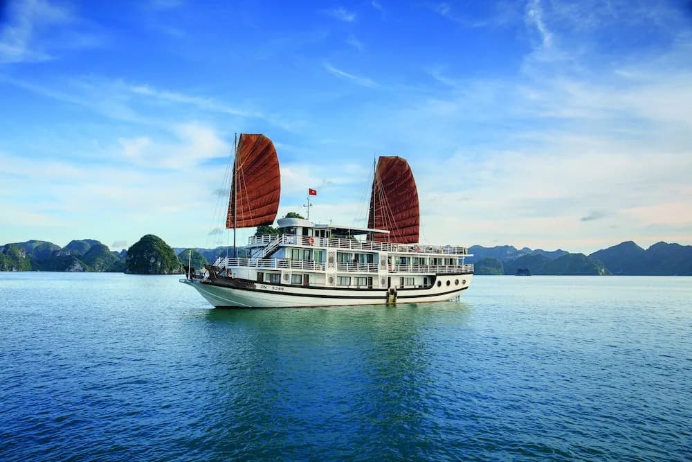 Apricot Premium Cruise - photo 12