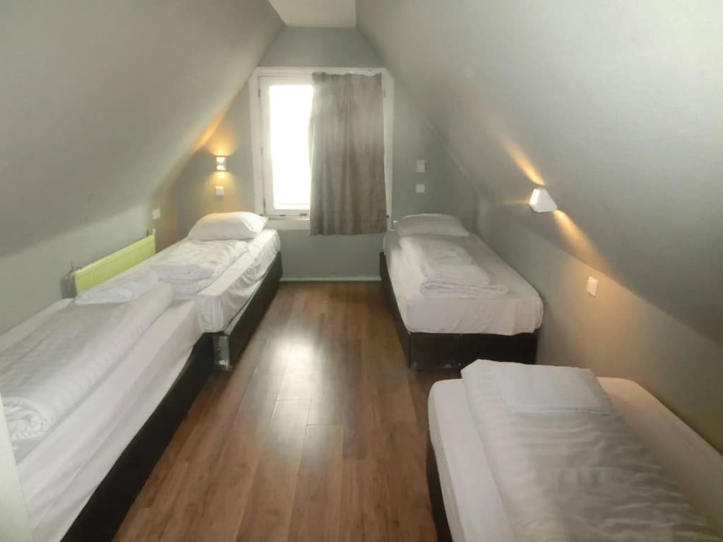 Orange Tulip Hotel Amsterdam - Hostel - photo 3
