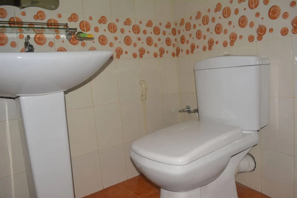 Saasha City Hotel - photo 9