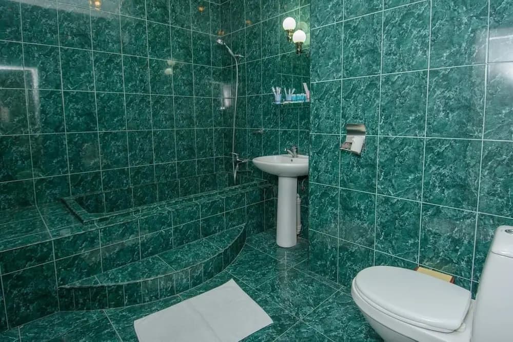 Silk Road Hotel - photo 9