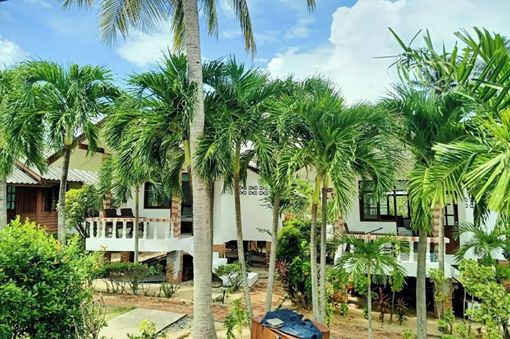 Palm Point Village - photo 19