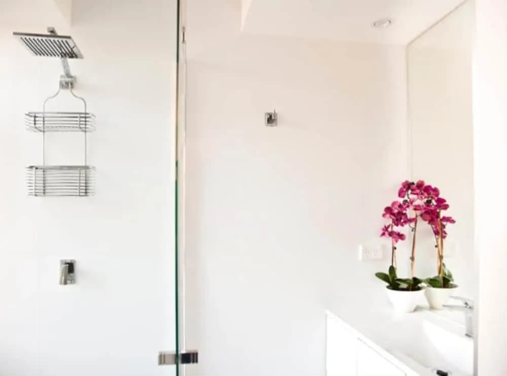 Bay Beauty (091i) - photo 10