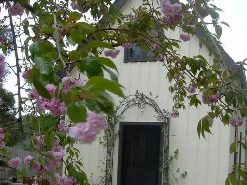 Silverleaf Cottage - photo 1