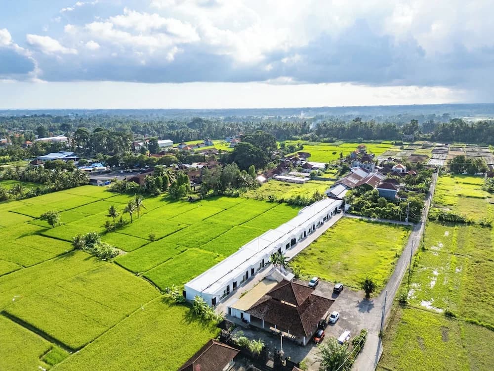 Green Flow Villa 22 - photo 15