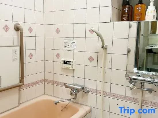 Nishi-Shinjuku/Shinjuku Center/ 3bed rooms/2toilet - photo 4