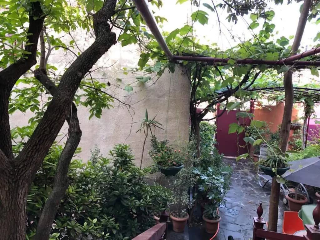 The house of the botanist - photo 5