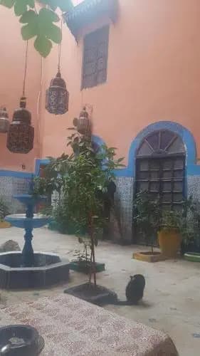 Riad Dar Kader - photo 9