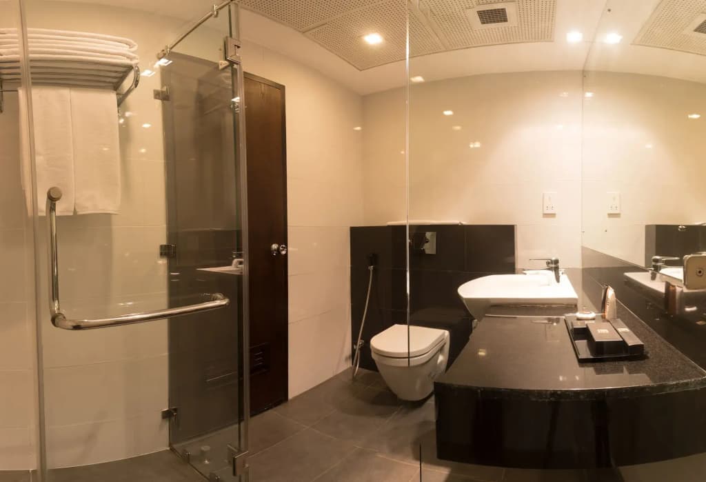 Renuka City Hotel - photo 8